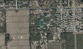 CR-340, Bell, FL 32619