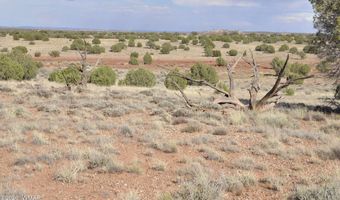10 N9228, Concho, AZ 85924