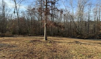 445 Bill Perdue Rd, Albany, KY 42602