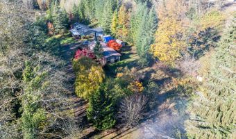 15010 NE 403RD St, Amboy, WA 98601