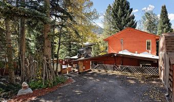 311 Midland Ave, Aspen, CO 81611