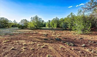8602 N TEN TANKS Rd 157, Ash Fork, AZ 86320