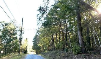 0 COUNTY ROAD 3964, Arley, AL 35541