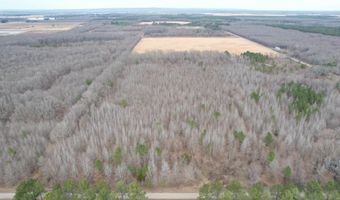 Williams Road, Bald Knob, AR 72010