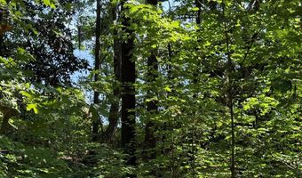Lakeshore Drive lot 3, Bainbridge, GA 39819