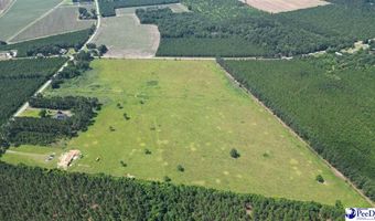2645 Ashland Stokes Bridge Rd, Bishopville, SC 29010