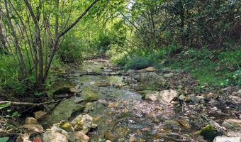 1619 Squirrel Creek Rd, Ararat, VA 24053