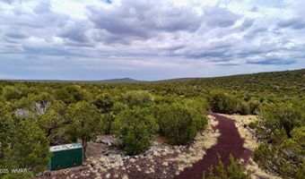 37 Co Rd N8174 10.1 Acres, Concho, AZ 85924
