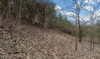 Smithtown Road, Afton, TN 37616