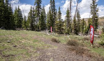 1913 E 2175 S, Brian Head, UT 84719