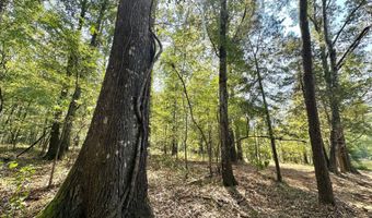 3 Champion Hill Rd, Bolton, MS 39041