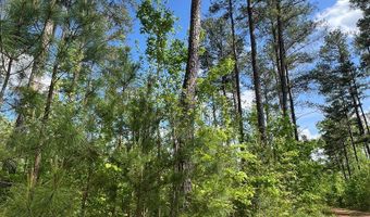 156 Ac Calvary Rd, Alton, VA 24520