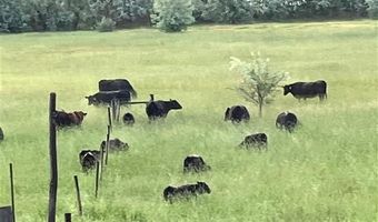 4127 Golf Course Rd, Basin, WY 82410