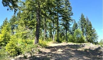 Tunnel Tract Parcel2, Banks, OR 97106