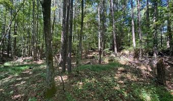 63 Hickory Creek Ln, Acworth, GA 30101