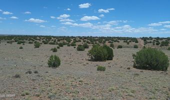 Tbd Ranch of the White Mountains, Concho, AZ 85924