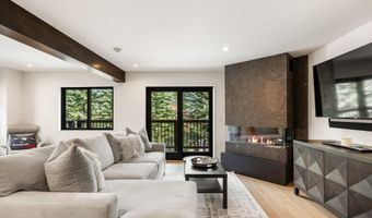 650 S Monarch Street 7, Aspen, CO 81611