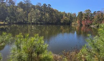 7501 Rainey Morris Rd, Appling, GA 30802