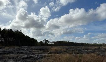 Ahoskie Cofield Road, Ahoskie, NC 27910