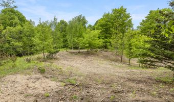 15380 Lake Bluff Dr, Arcadia, MI 49613