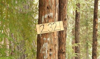 232 Iroquois Dr, Camp Connell, CA 95223