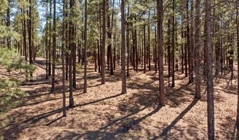 County Road 2325, Alpine, AZ 85920