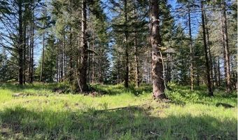 NW Lodge Rd, Banks, OR 97106