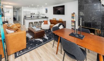 100 E DEAN St 1D, Aspen, CO 81611