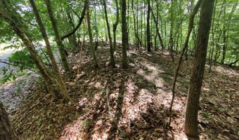 3347 Mountain View Ln, Baneberry, TN 37890
