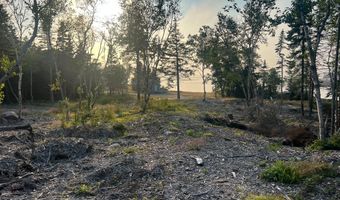 Lot 9-1 Black Duck Cove Road, Beals, ME 04611