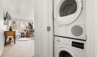 1041 Vine St, Aspen, CO 81611