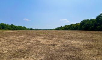Rocky Creek Road, Ashford, AL 36312