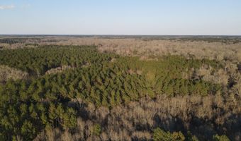 U.S. Highway 51, Bogue Chitto, MS 39629