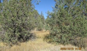 Couch Creek Road, Alturas, CA 96101