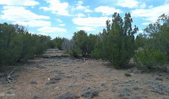 Show Low Pines Lot 189, Concho, AZ 85924