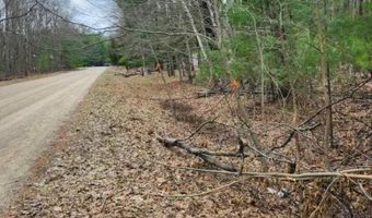 N Forest Lake Drive, Alger, MI 48610