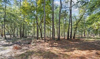 7901 Ashleigh Rd, Blackville, SC 29817
