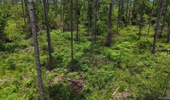 154 County Road 38 Acres, Banks, AL 36005