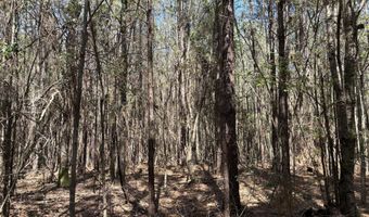 SW Auburn Drive, Bogue Chitto, MS 39629