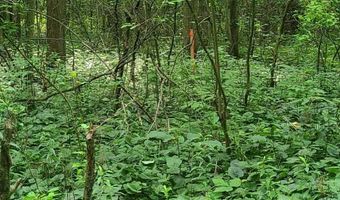 65 Acres 107th Ave, Allegan, MI 49010