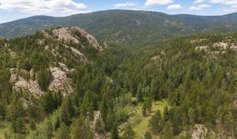 TBD County Road 59, Allenspark, CO 80510