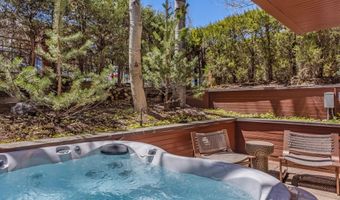 708 E Hyman Ave, Aspen, CO 81611