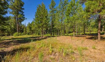 151 Timber Haven Pl, Cascade, ID 83611