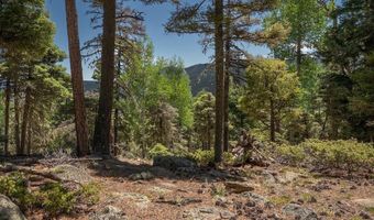 97 Zia Rd, Angel Fire, NM 87710