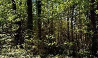 FOLLY CREEK CLUB LN lot 19, Accomac, VA 23301