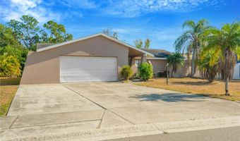 6507 MANILA PALM Way, Apollo Beach, FL 33572