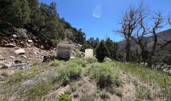 32370 Poudre Canyon Rd, Bellvue, CO 80512