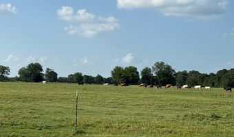 Tbd E Fm 2795, Alba, TX 75410