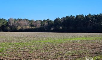 0 Three Mile Rd, Atmore, AL 36502
