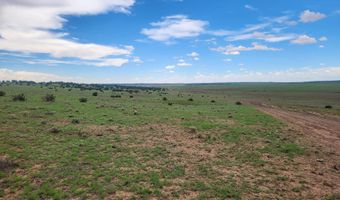 67 66 59 ACR N3377, Concho, AZ 85924
